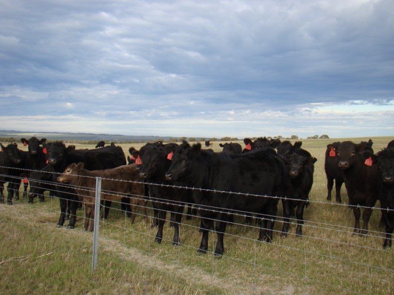 725 Allanooka Springs Road, Mount Hill WA 6528