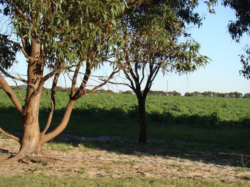 725 Allanooka Springs Road, Mount Hill WA 6528