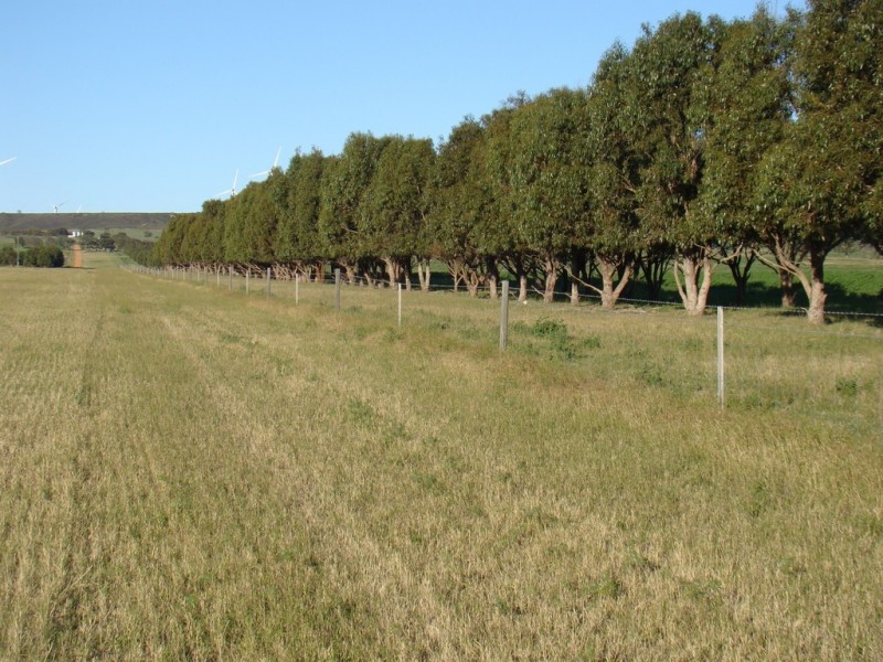 725 Allanooka Springs Road, Mount Hill WA 6528