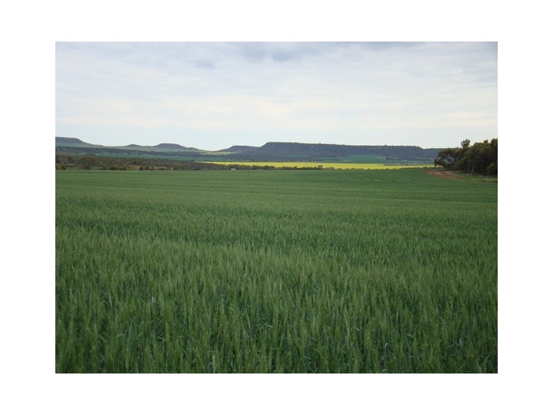 72 Jordan Road, East Chapman WA 6532