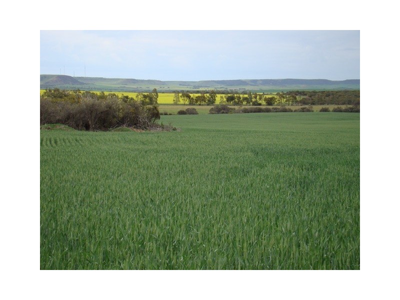 72 Jordan Road, East Chapman WA 6532