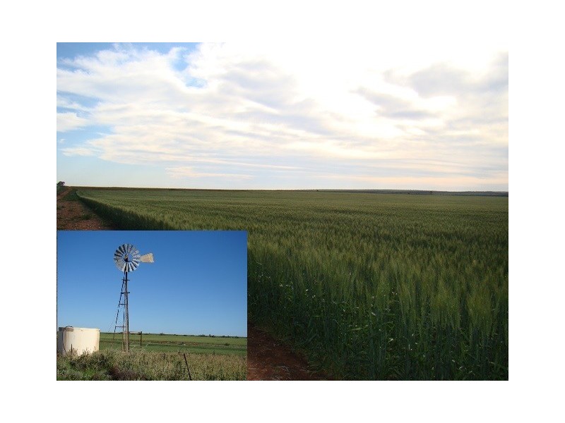 382 Carnarvon-Mullewa Road, Mullewa WA 6630