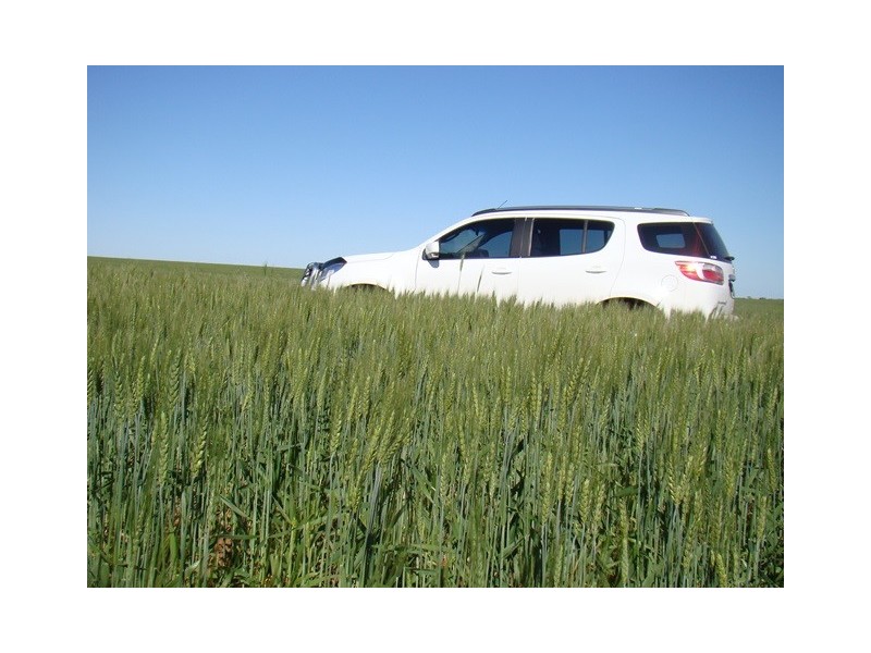 382 Carnarvon-Mullewa Road, Mullewa WA 6630