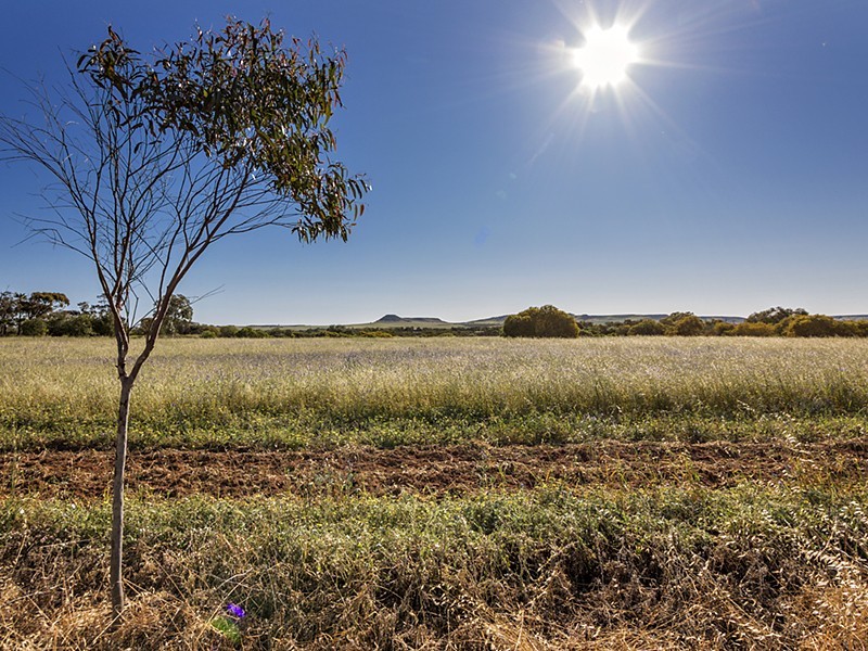 396 Giles Road, Moonyoonooka WA 6532