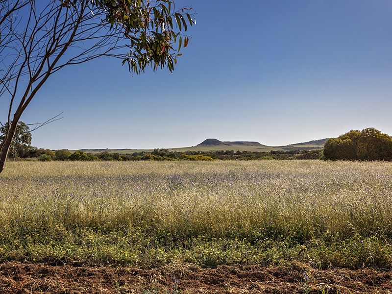 396 Giles Road, Moonyoonooka WA 6532