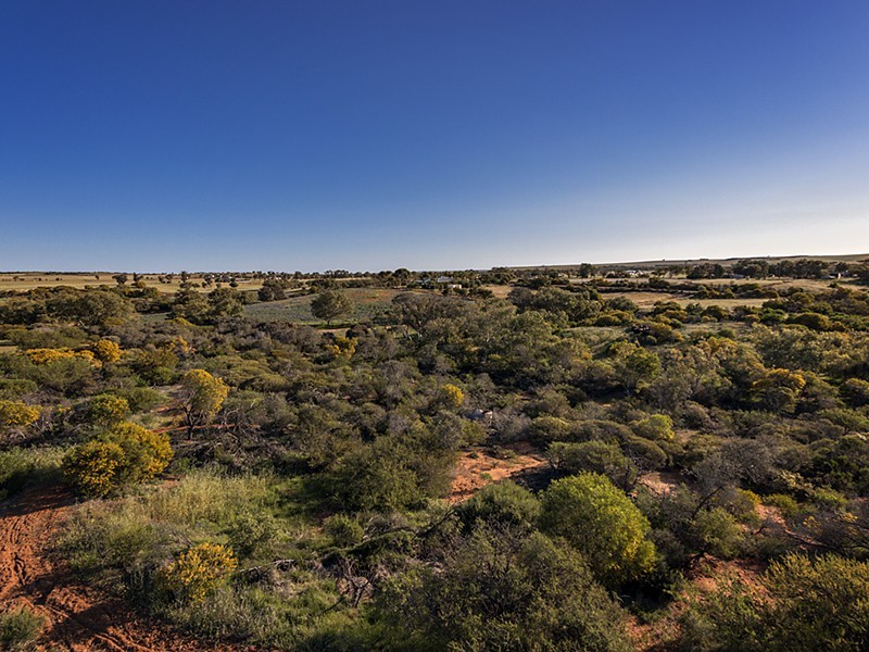 396 Giles Road, Moonyoonooka WA 6532