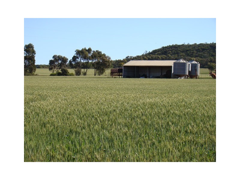 2685 Chapman Valley Road, Nanson WA 6532