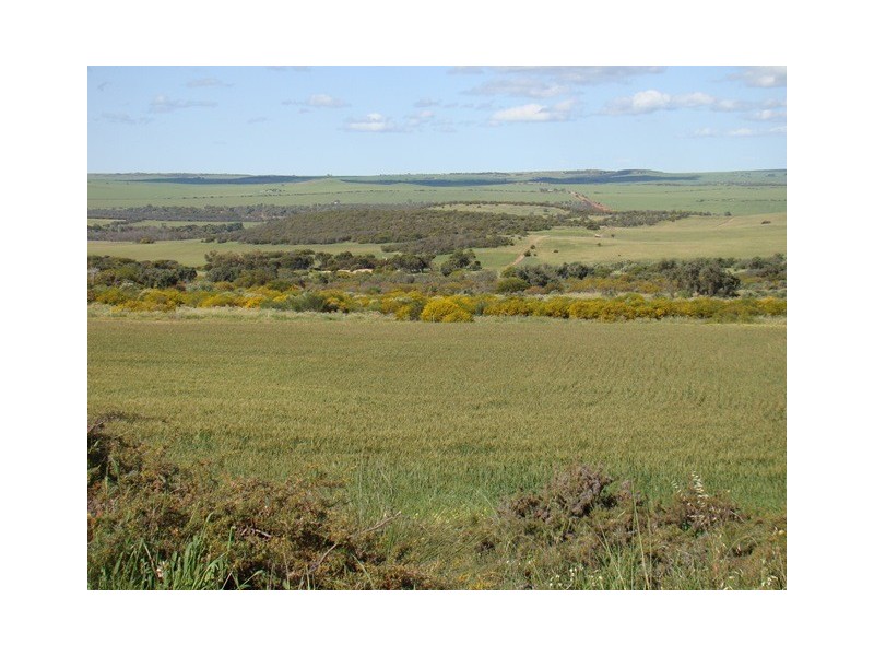 2685 Chapman Valley Road, Nanson WA 6532