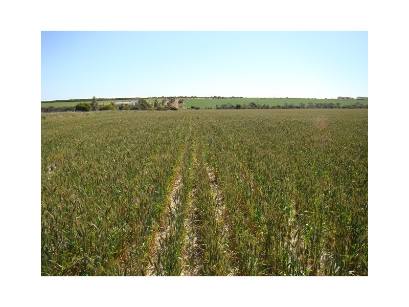 2685 Chapman Valley Road, Nanson WA 6532