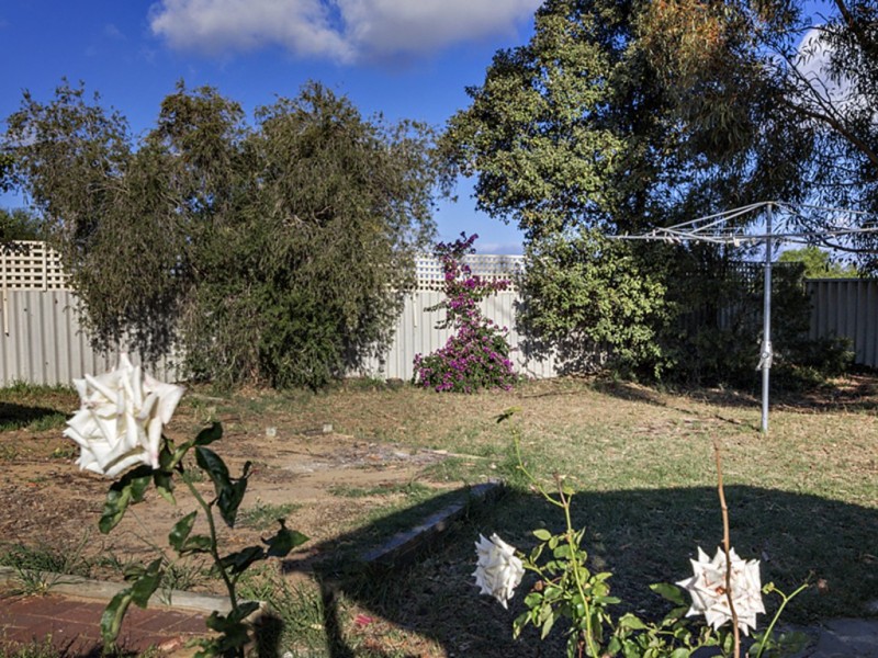 6 Sanday Court, Spalding WA 6530