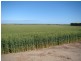 1485 Casuarinas Road, West Casuarinas WA 6630
