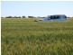 1485 Casuarinas Road, West Casuarinas WA 6630