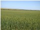 1485 Casuarinas Road, West Casuarinas WA 6630
