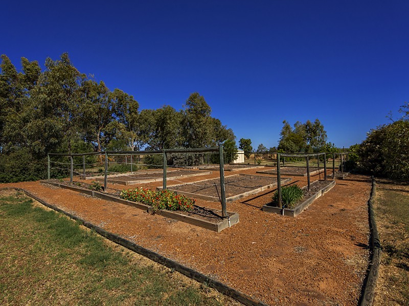 6521 Nangetty-Walkaway Road, Walkaway WA 6528