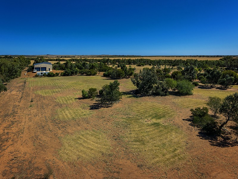 6521 Nangetty-Walkaway Road, Walkaway WA 6528