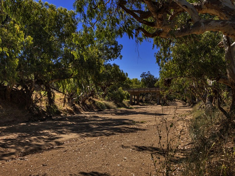 6521 Nangetty-Walkaway Road, Walkaway WA 6528