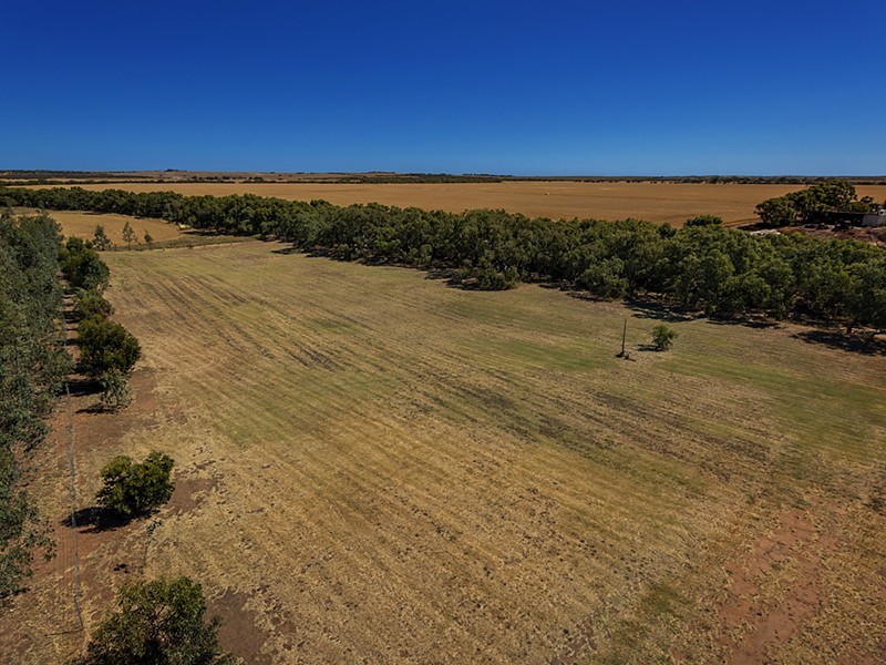 6521 Nangetty-Walkaway Road, Walkaway WA 6528