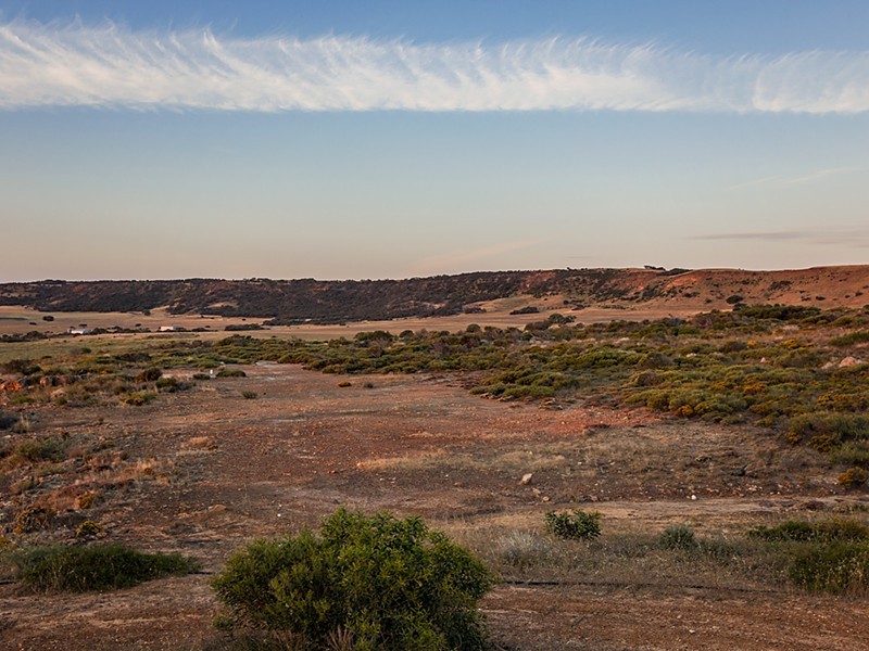 219 Cooper Street, Waggrakine WA 6530