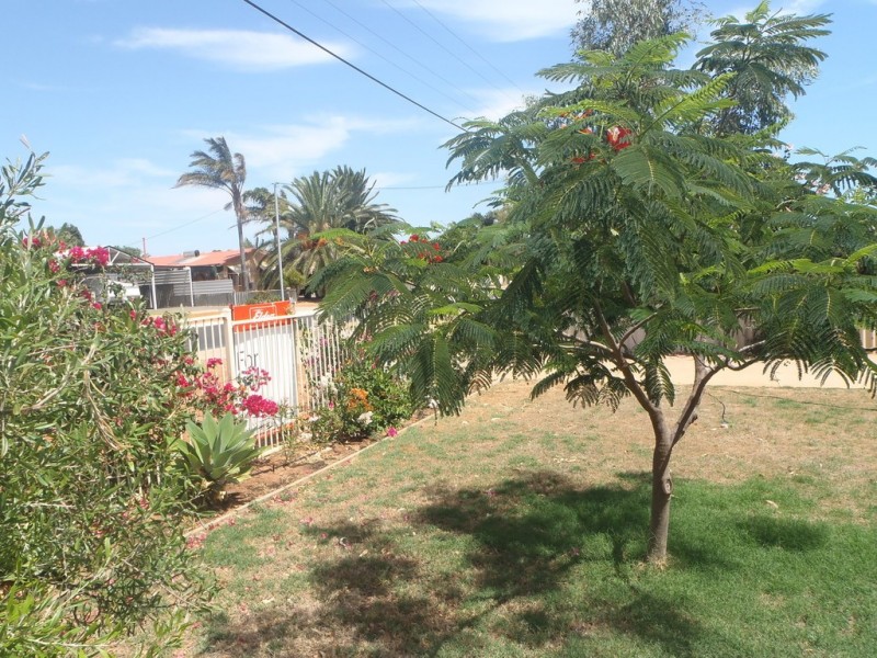 181A Anderson Street, Spalding WA 6530