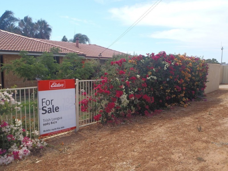 181A Anderson Street, Spalding WA 6530