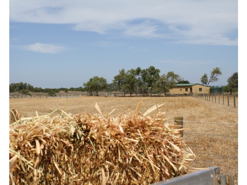 30 Dolby Drive, Waggrakine WA 6530