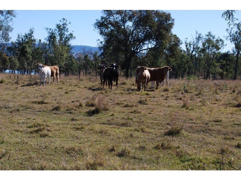 279 Mt Forbes Rd, Ebenezer QLD 4340