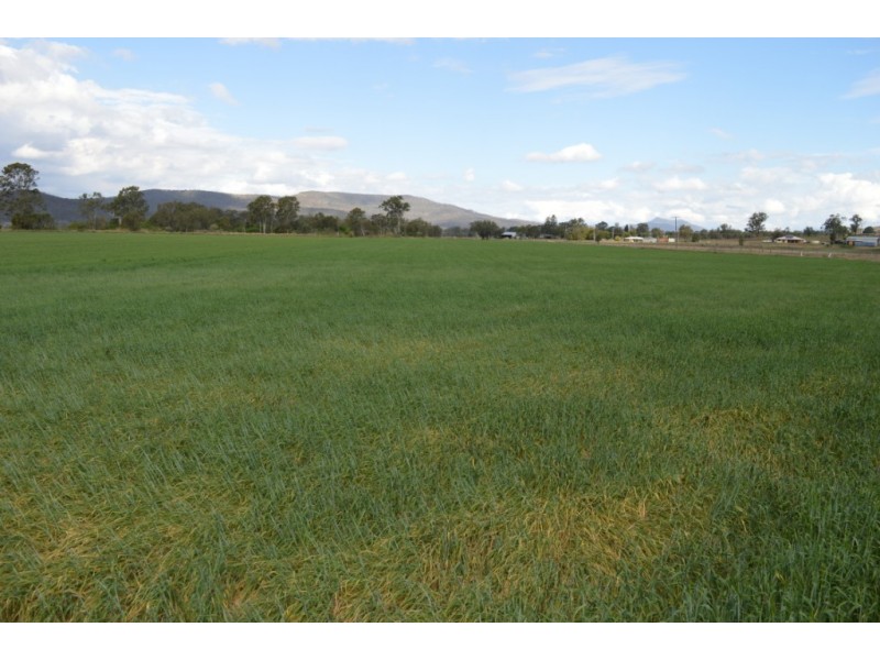 35 Laidley Creek West, Laidley Creek West QLD 4341