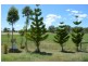 49 Laidley Creek West Road, Laidley Creek West QLD 4341