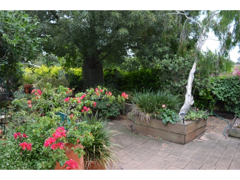 42 Glen Cairn Rd, Glen Cairn QLD 4342