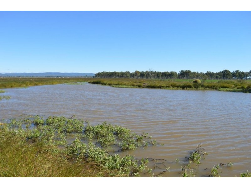 119 Forest Hill Fernvale Road, Glenore Grove QLD 4342