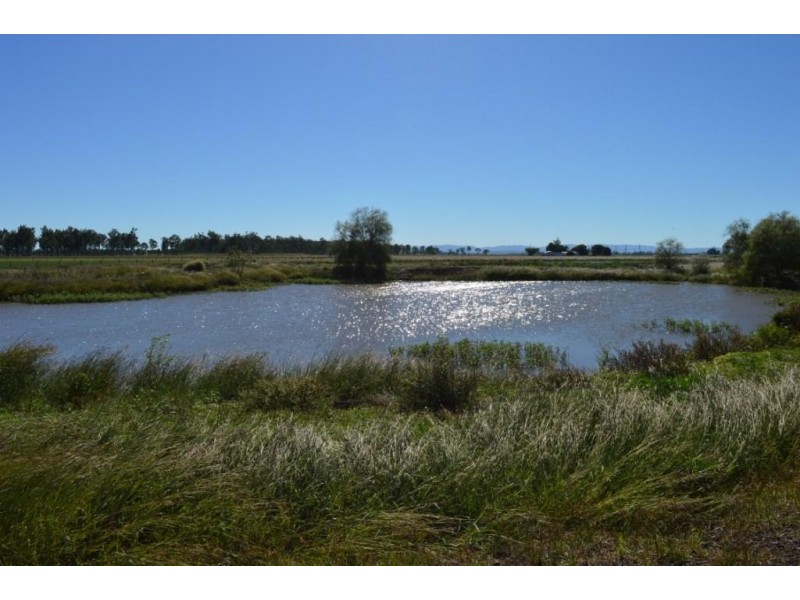 119 Forest Hill Fernvale Road, Glenore Grove QLD 4342