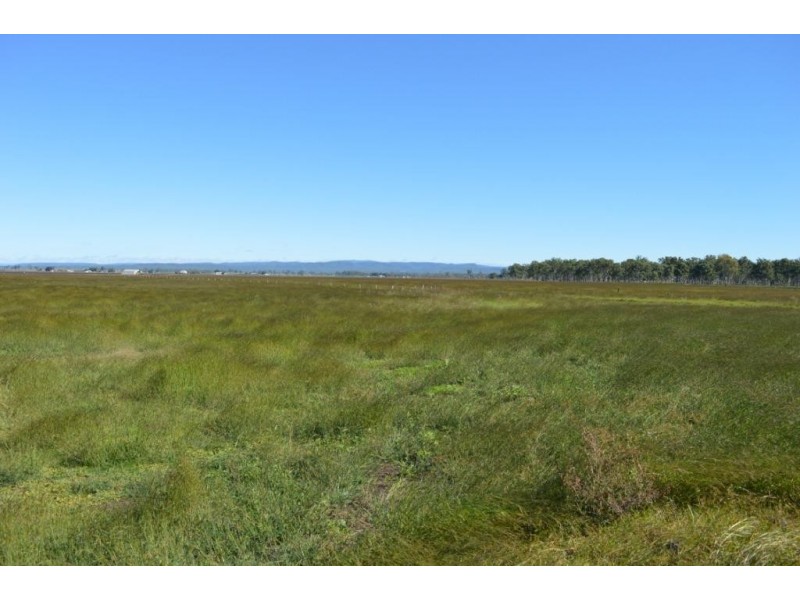 119 Forest Hill Fernvale Road, Glenore Grove QLD 4342