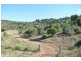 Laidley Creek West QLD 4341