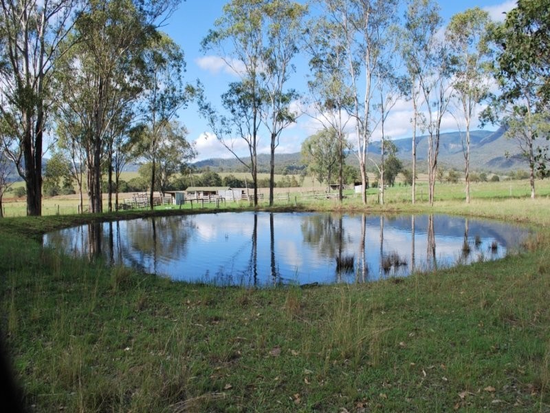 8 Dippel Road, Thornton QLD 4341