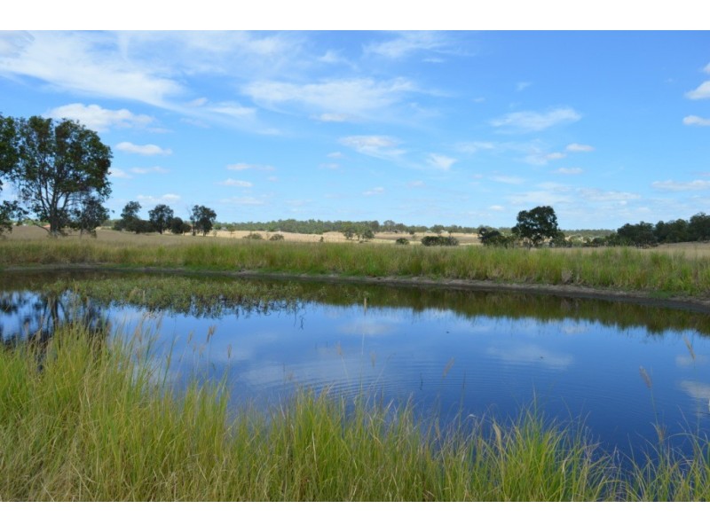 17 Gutt Rd, Regency Downs QLD 4341