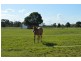 13 Laidley-Plainland Rd, Laidley North QLD 4341