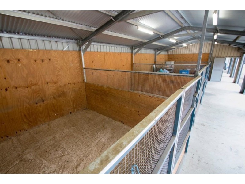 62 Limosa Rd, Lowood QLD 4311