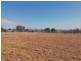 Laidley Heights QLD 4341