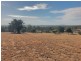 Laidley Heights QLD 4341