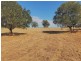 Laidley Heights QLD 4341