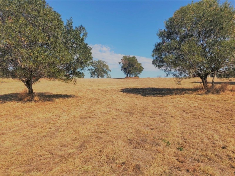 Laidley Heights QLD 4341