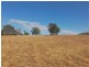 Laidley Heights QLD 4341