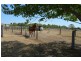 2191 Forest Hill-Fernvale Road, Mount Tarampa QLD 4311