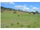 179 Mulgowie Road, Thornton QLD 4341
