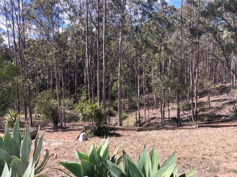 23 Mountain Road, Laidley QLD 4341