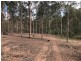 00 O’Dwyer Road, Laidley South QLD 4341