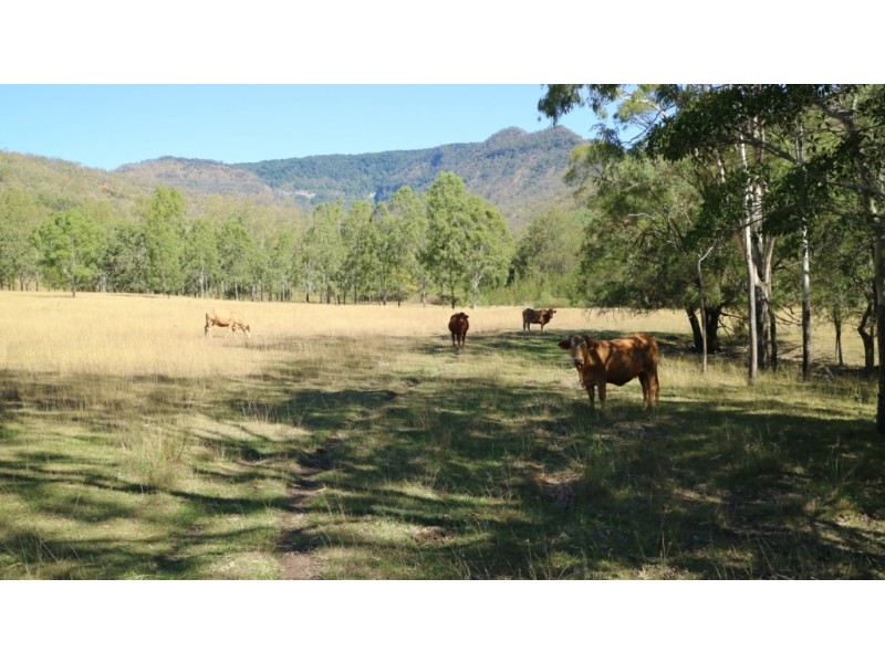 Townson QLD 4341