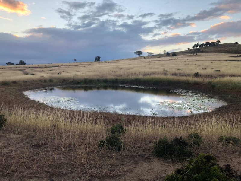 107 Zischke Road, Regency Downs QLD 4341