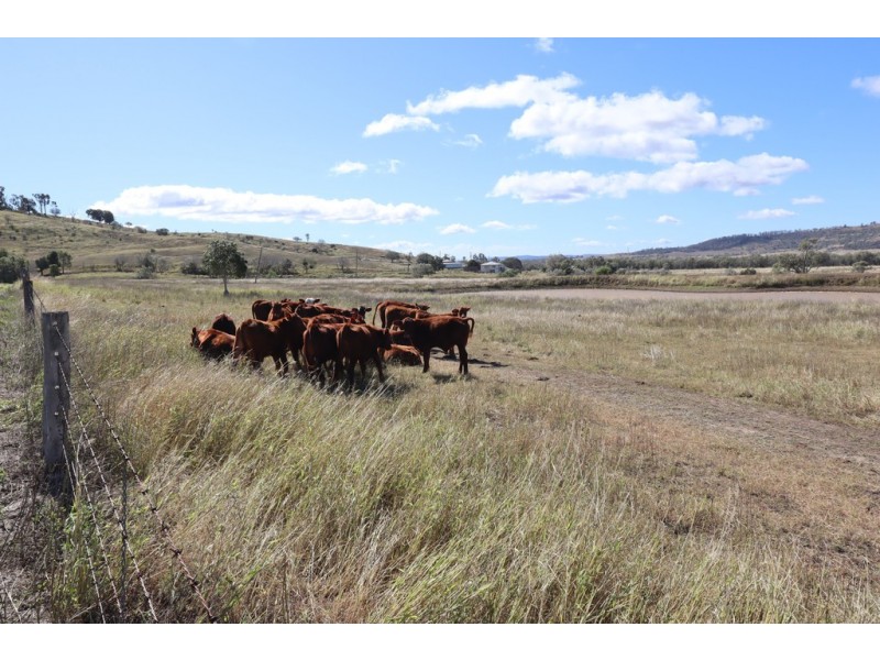 19 Jims Road, Blenheim QLD 4341