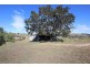 19 Jims Road, Blenheim QLD 4341